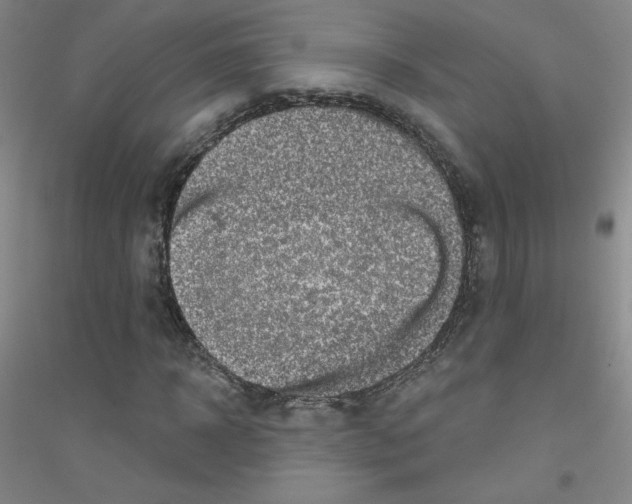 X0000116790918201001291515
