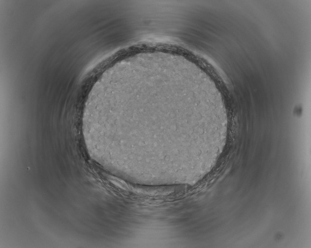 X0000116790919201001291515