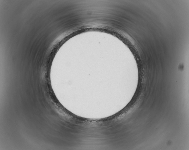 X0000116790922201001291515