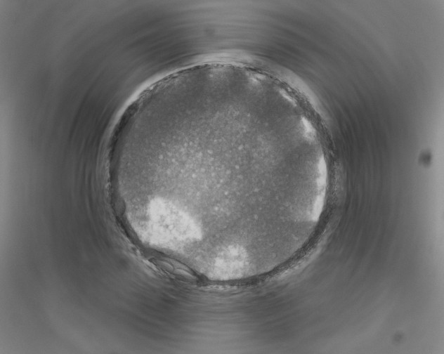 X0000116790923201001291515