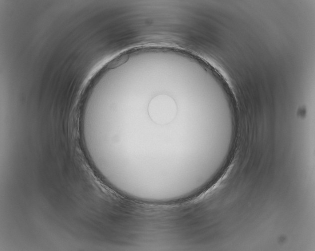 X0000116790925201001291515