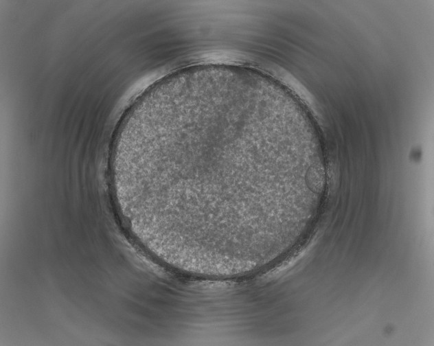 X0000116790930201001291515