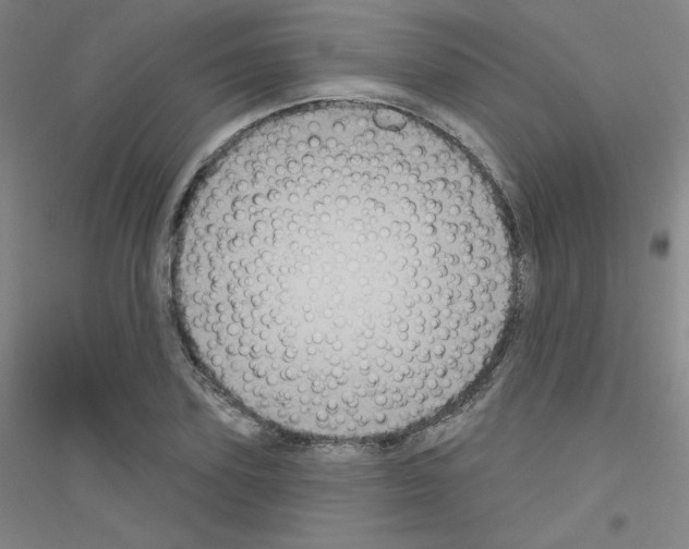 X0000116790931201001291515