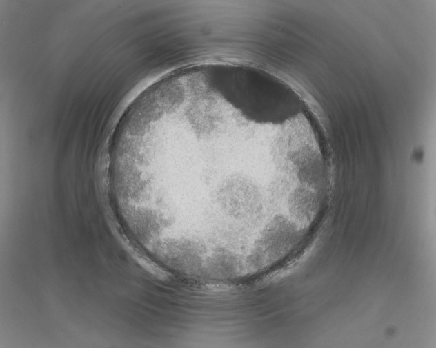 X0000116790933201001291516