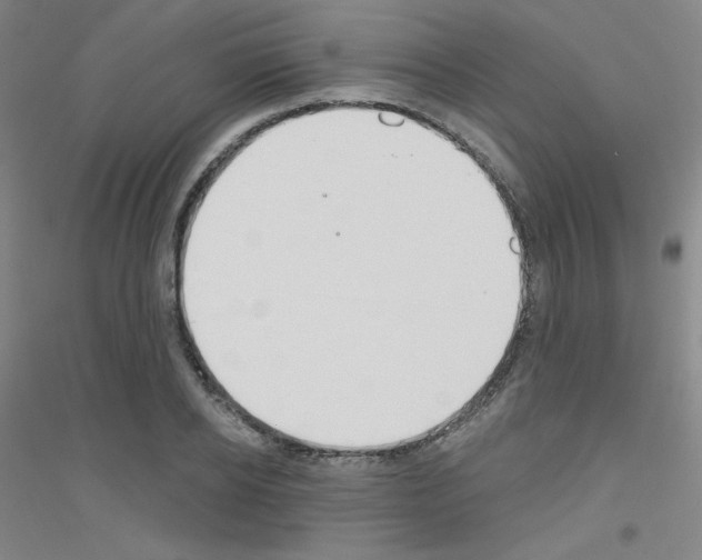X0000116790934201001291516
