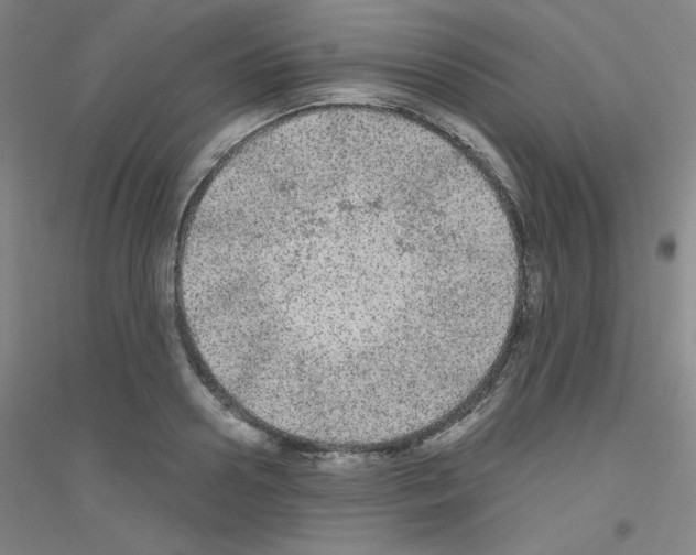 X0000116790938201001291516