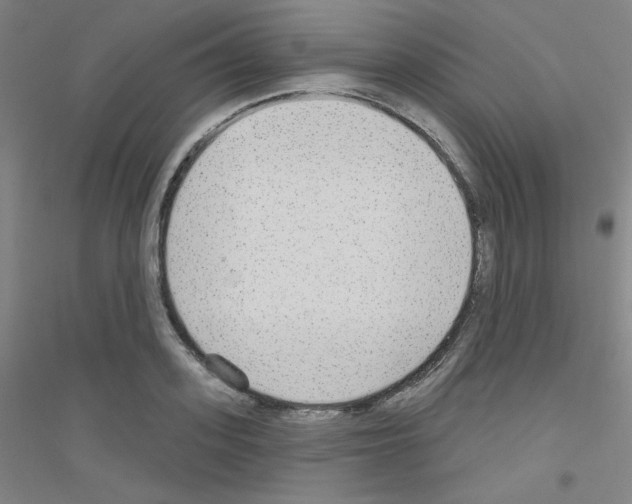 X0000116790939201001291516