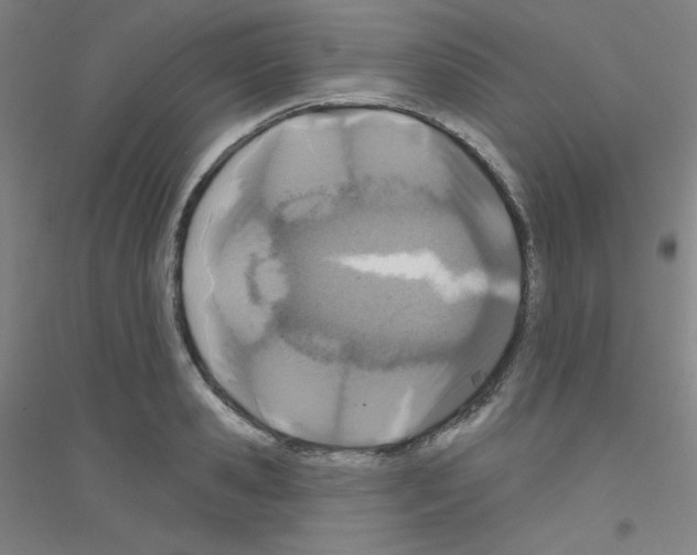 X0000116790941201001291516