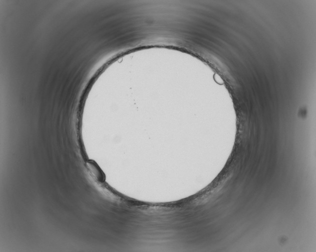 X0000116790942201001291516