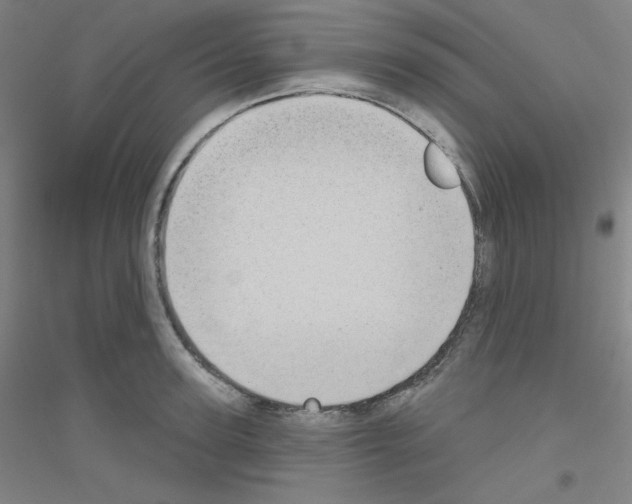 X0000116790947201001291516