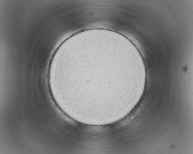 X0000116790949201001291516