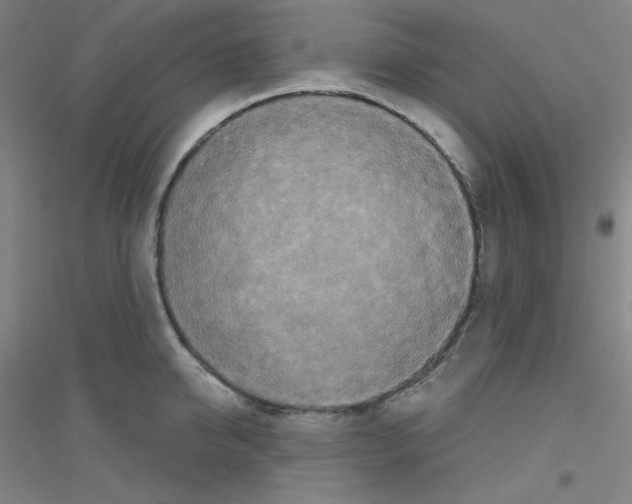 X0000116790950201001291516