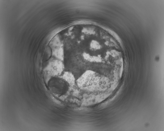 X0000116790953201001291516