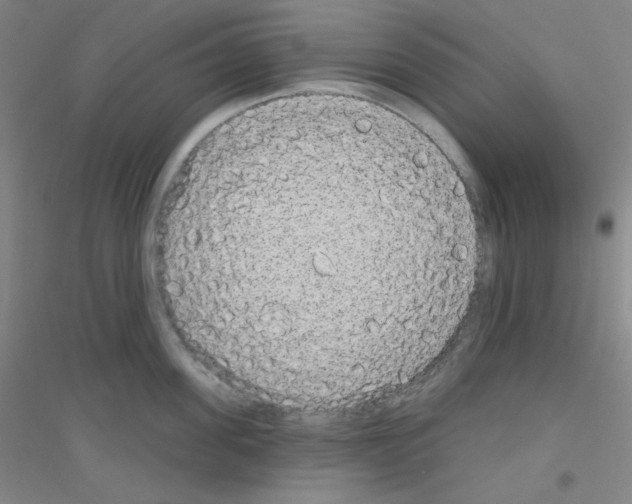 X0000116790955201001291516