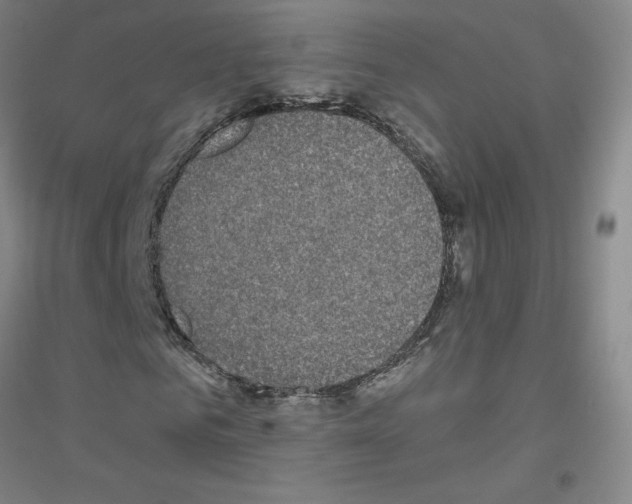 X0000116790961201001291515
