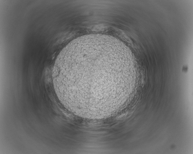 X0000116790962201001291515