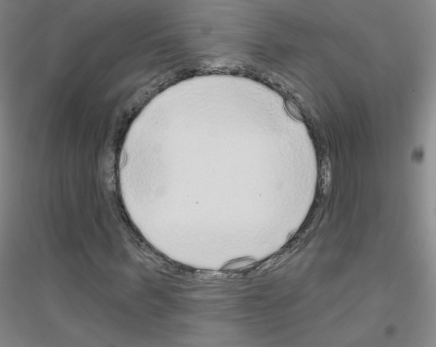 X0000116790963201001291515