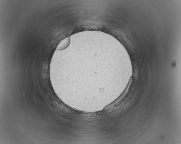 X0000116790964201001291515