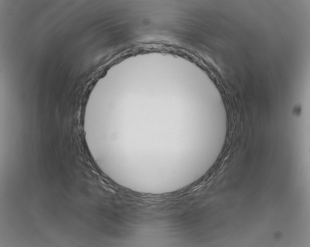 X0000116790965201001291515