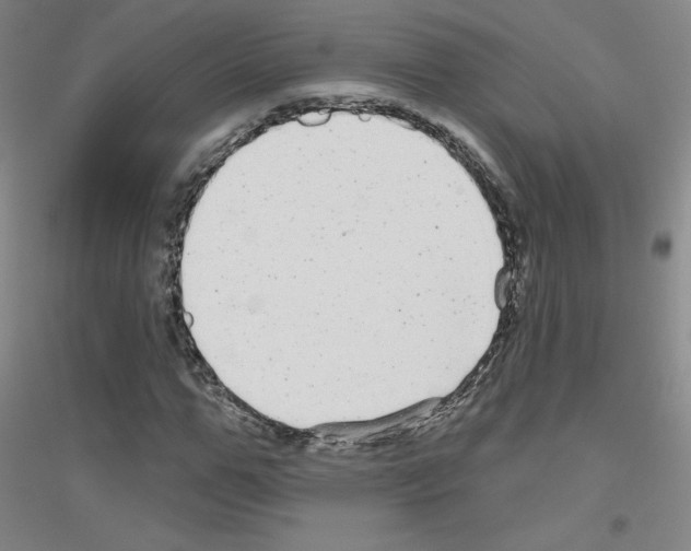 X0000116790967201001291515