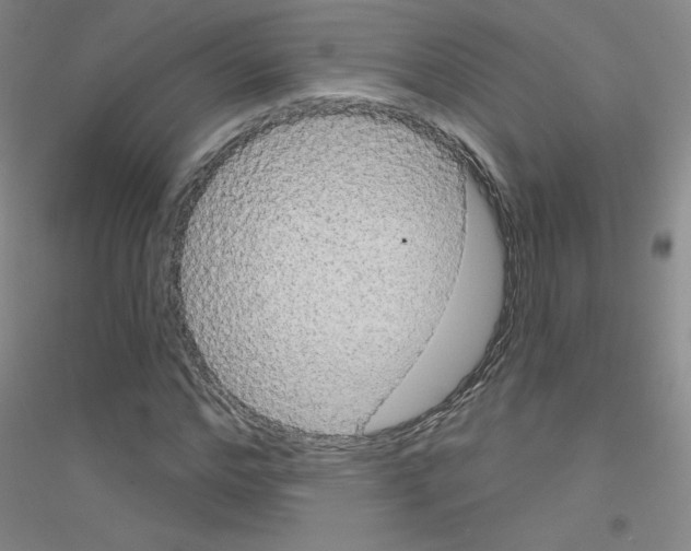 X0000116790968201001291515