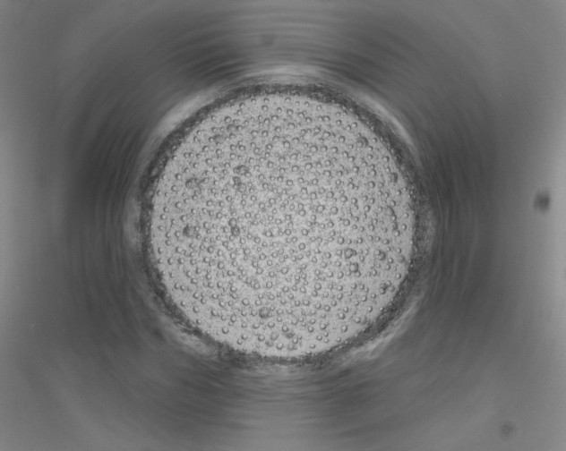 X0000116790970201001291515