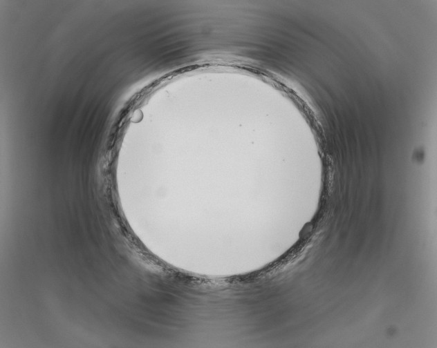 X0000116790971201001291515