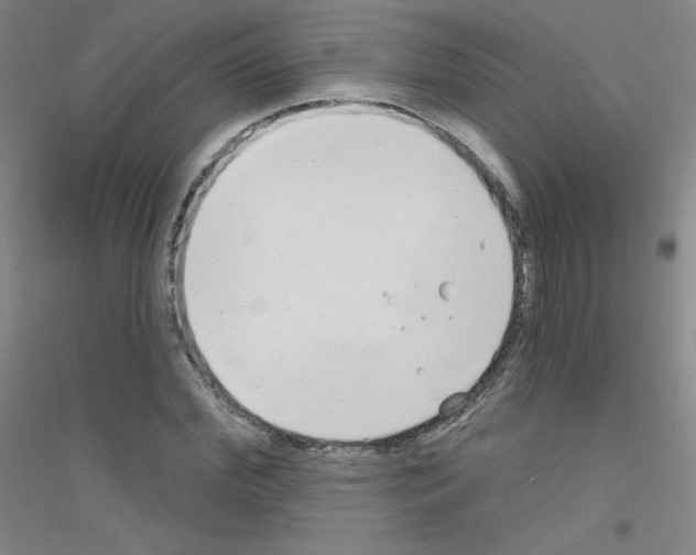 X0000116790972201001291515