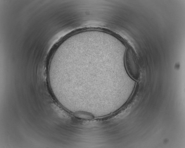 X0000116790973201001291515
