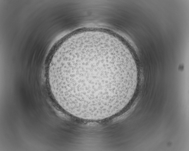 X0000116790974201001291515