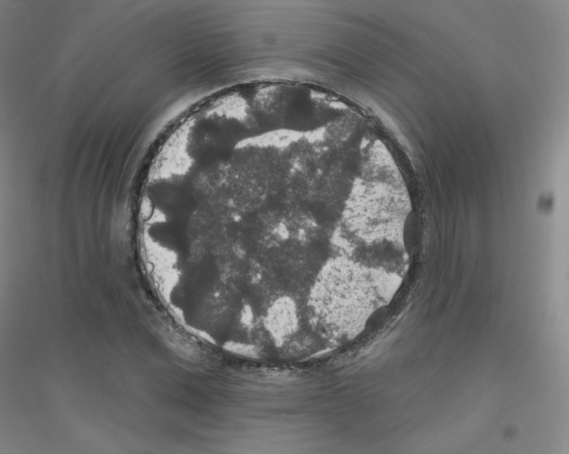 X0000116790975201001291515