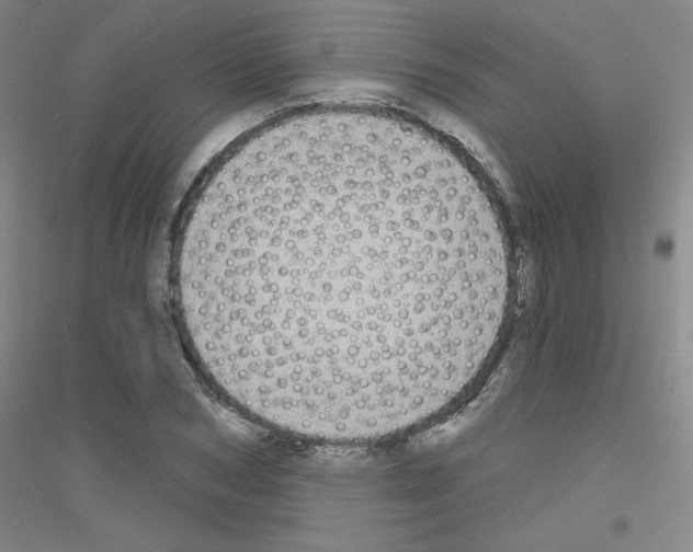 X0000116790978201001291515