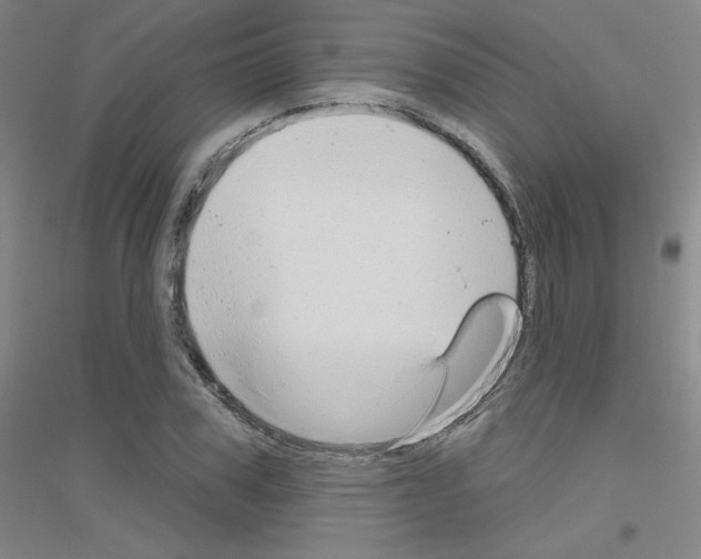 X0000116790979201001291515
