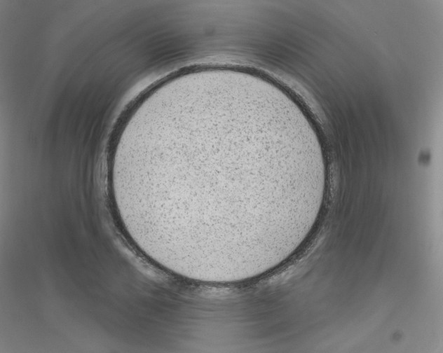 X0000116790982201001291515