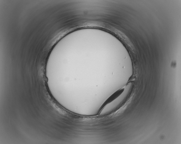 X0000116790985201001291515