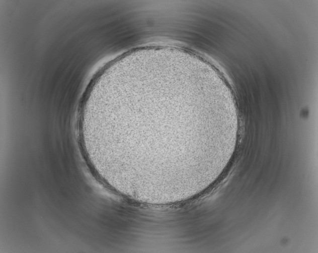 X0000116790987201001291515