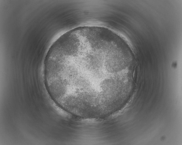 X0000116790990201001291515