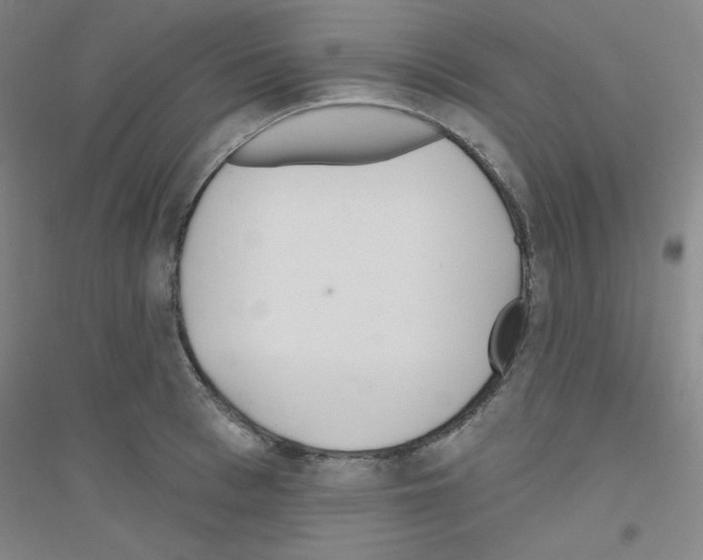X0000116790993201001291515