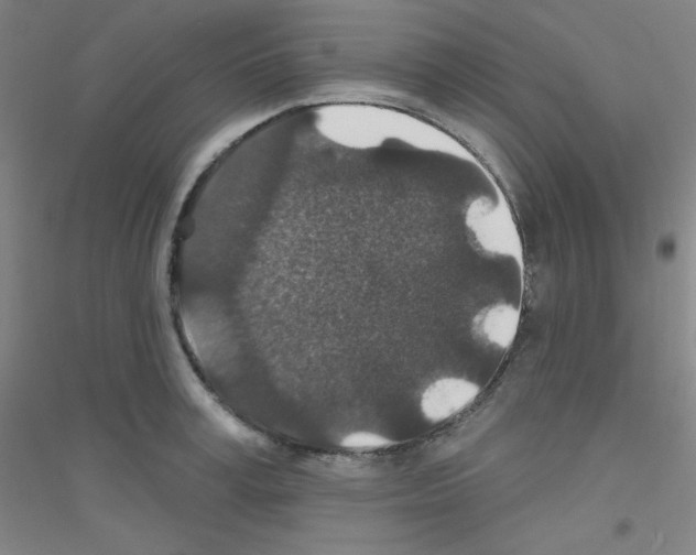 X0000116790995201001291515