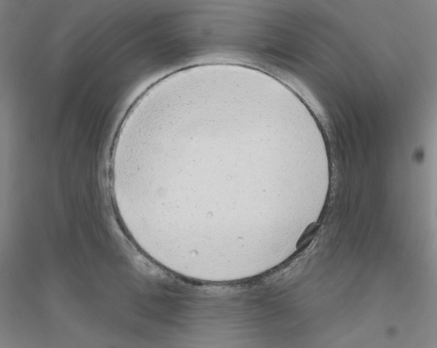 X0000116790996201001291515