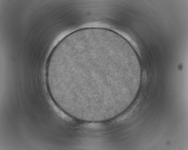 X0000116790998201001291515