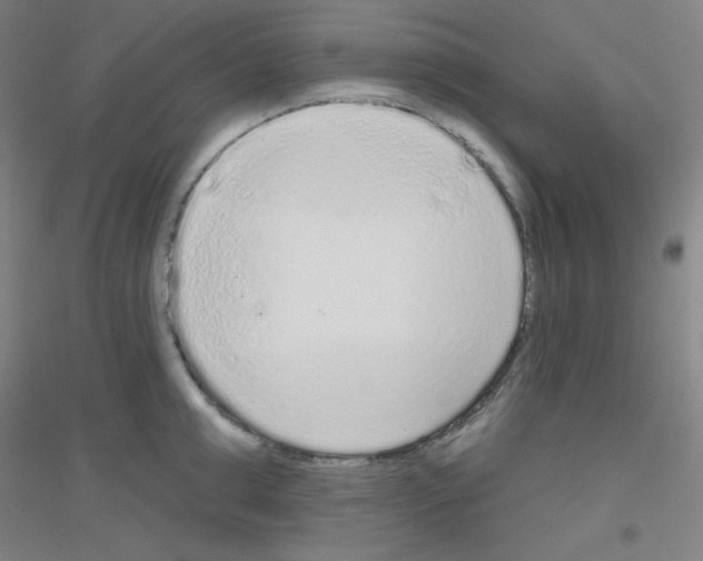 X0000116790999201001291515