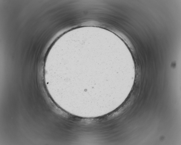 X0000116791000201001291515