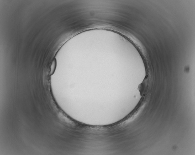 X0000116791001201001291515