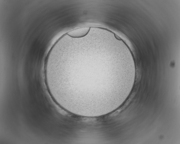 X0000116791006201001291515