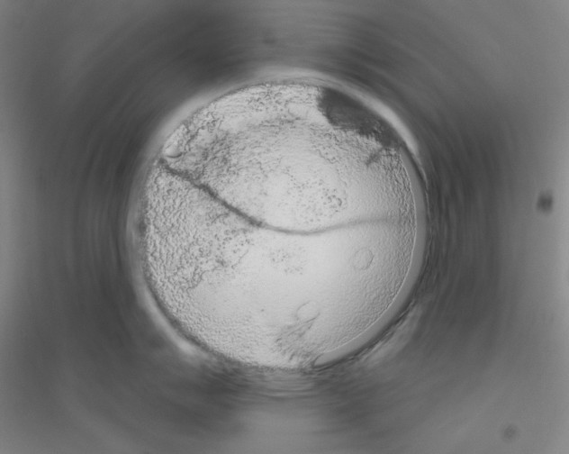X0000116791007201001291515