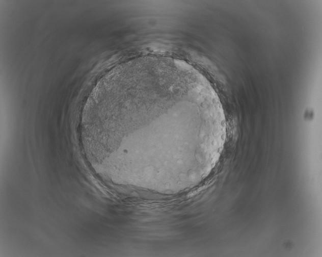 X0000116791009201001291514