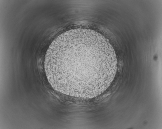 X0000116791010201001291514