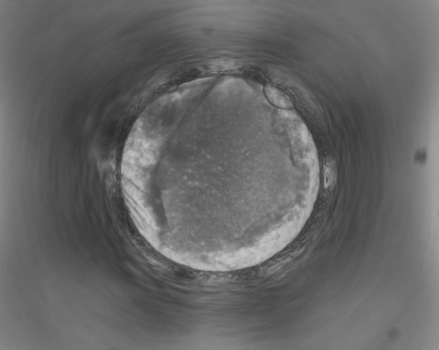 X0000116791011201001291514