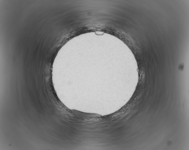 X0000116791012201001291514